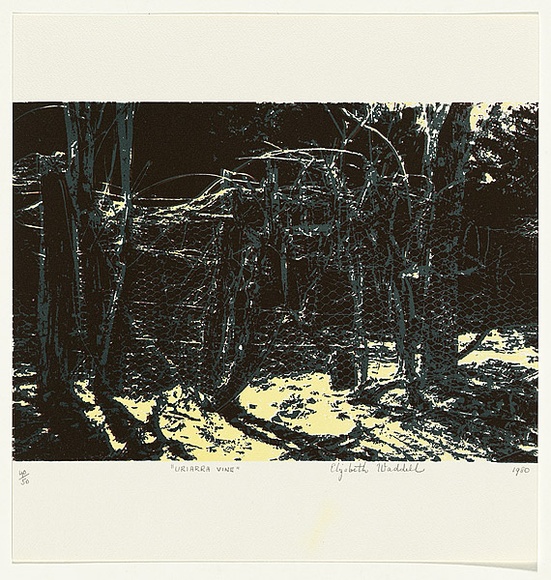 Artist: b'Waddell, Elizabeth.' | Title: b'Uriarra vine' | Date: 1980 | Technique: b'screenprint, printed in colour, from three stencils' Artist: b'Waddell, Elizabeth.' | Title: b'Uriarra vine' | Date: 1980 | Technique: b'screenprint, printed in colour, from three stencils'