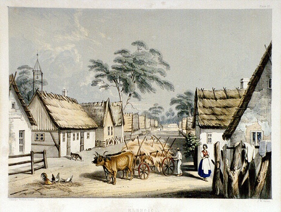 Artist: b'Angas, George French.' | Title: b'Klemsic.' | Date: 1846-47 | Technique: b'lithograph, printed in colour, from multiple stones; varnish highlights by brush'