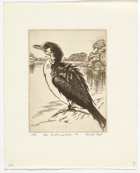 Artist: b'PLATT, Austin' | Title: b'Shag, Centennial Park' | Date: 1981 | Technique: b'etching, printed in black ink, from one plate' Artist: b'PLATT, Austin' | Title: b'Shag, Centennial Park' | Date: 1981 | Technique: b'etching, printed in black ink, from one plate'