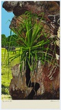 Title: Kakadu | Date: 1985 | Technique: screenprint, printed in colour, from multiple stencils