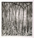 Artist: Rooney, Elizabeth. | Title: Picnic on the Gib | Date: 1969-71 | Technique: etching, aquatint printed in black ink with plate-tone, from one  copper plate