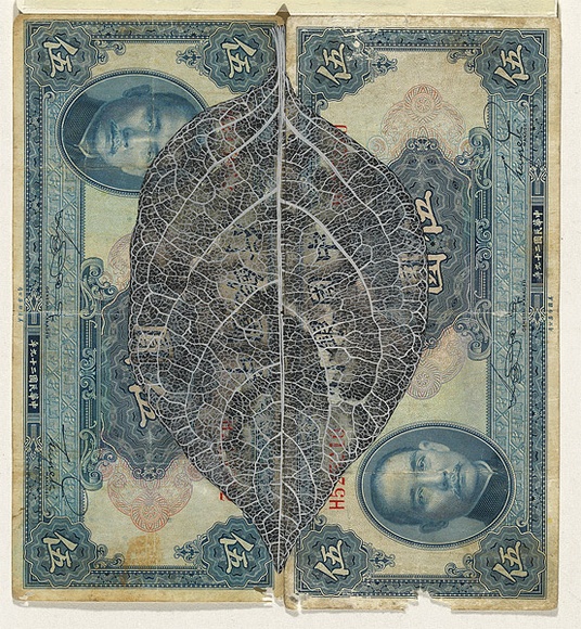 Artist: b'HALL, Fiona' | Title: b'Diospyros kaki - Persimmon (Chinese currency)' | Date: 2000 - 2002 | Technique: b'gouache' | Copyright: b'\xc2\xa9 Fiona Hall' Artist: b'HALL, Fiona' | Title: b'Diospyros kaki - Persimmon (Chinese currency)' | Date: 2000 - 2002 | Technique: b'gouache' | Copyright: b'\xc2\xa9 Fiona Hall'