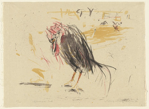 Artist: b'MACQUEEN, Mary' | Title: b'Minorca cock' | Date: 1970 | Technique: b'lithograph, printed in colour, from multiple plates' | Copyright: b'Courtesy Paulette Calhoun, for the estate of Mary Macqueen' Artist: b'MACQUEEN, Mary' | Title: b'Minorca cock' | Date: 1970 | Technique: b'lithograph, printed in colour, from multiple plates' | Copyright: b'Courtesy Paulette Calhoun, for the estate of Mary Macqueen'
