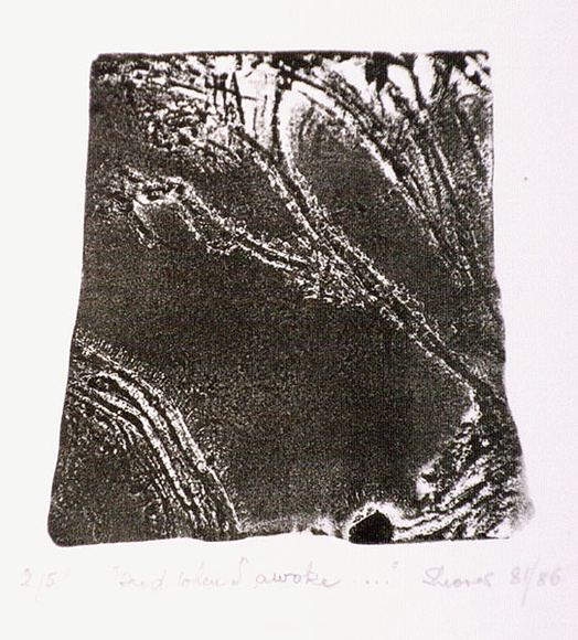 Artist: b'Shearer, Mitzi.' | Title: b'Dust when I awoke ...' | Date: 1981-86