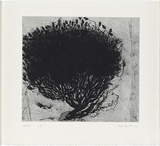 Artist: Kluge-Pott, Hertha. | Title: Landmark | Date: 1994 | Technique: drypoint | Copyright: © Hertha Kluge-Pott