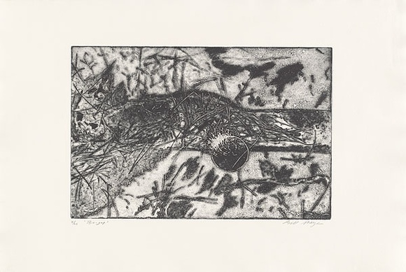 Artist: b'MEYER, Bill' | Title: b'Bio gap' | Date: 1982 | Technique: b'etching, aquatint and drypoint, printed in blue-black ink, from one zinc plate' | Copyright: b'\xc2\xa9 Bill Meyer' Artist: b'MEYER, Bill' | Title: b'Bio gap' | Date: 1982 | Technique: b'etching, aquatint and drypoint, printed in blue-black ink, from one zinc plate' | Copyright: b'\xc2\xa9 Bill Meyer'