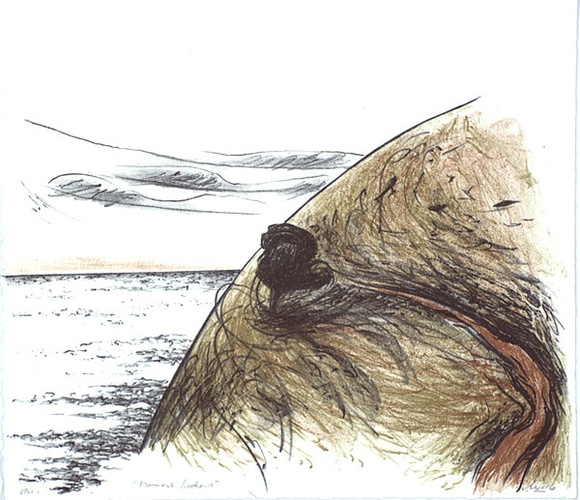 Artist: b'Trenfield, Wells.' | Title: b'Mariners lookout' | Date: 1980s | Technique: b'lithograph, printed in colour, from multiple stones' Artist: b'Trenfield, Wells.' | Title: b'Mariners lookout' | Date: 1980s | Technique: b'lithograph, printed in colour, from multiple stones'
