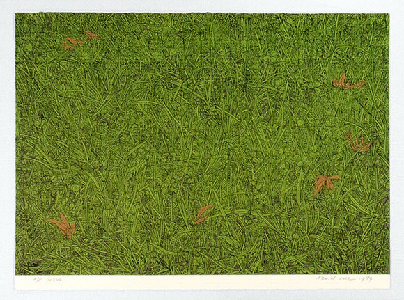 Artist: b'Rose, David.' | Title: b'Grass' | Date: 1974 | Technique: b'screenprint, printed in colour, from multiple stencils' Artist: b'Rose, David.' | Title: b'Grass' | Date: 1974 | Technique: b'screenprint, printed in colour, from multiple stencils'