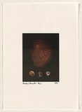 Title: Rococo Recollections [12] | Date: 1995 | Technique: electrostatic print, printed from a Canon colour laser copier, from collaged elements