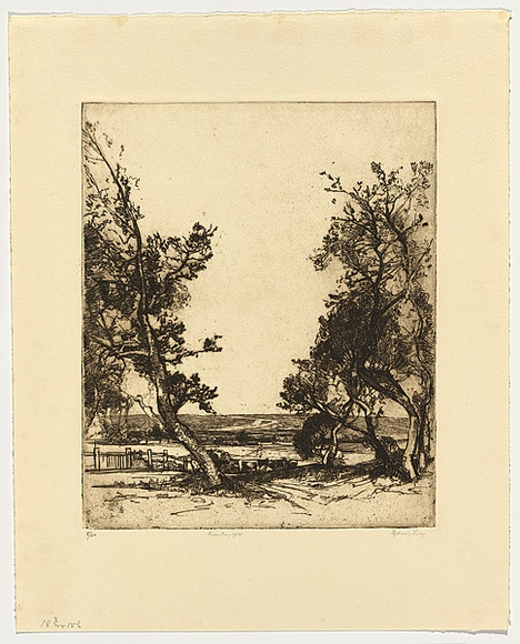 Artist: b'Long, Sydney.' | Title: b'Rose Bay in 1908' | Date: 1927 | Technique: b'line-etching, printed in black ink with plate-tone, from one plate' | Copyright: b'Reproduced with the kind permission of the Ophthalmic Research Institute of Australia' Artist: b'Long, Sydney.' | Title: b'Rose Bay in 1908' | Date: 1927 | Technique: b'line-etching, printed in black ink with plate-tone, from one plate' | Copyright: b'Reproduced with the kind permission of the Ophthalmic Research Institute of Australia'