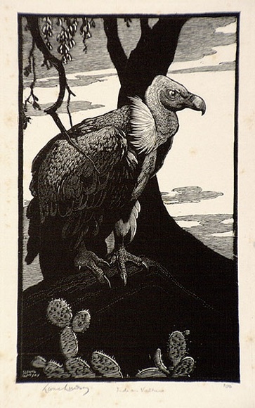Artist: b'LINDSAY, Lionel' | Title: b'Indian Vulture' | Date: 1933 | Technique: b'wood-engraving, printed in black ink, from one block' | Copyright: b'Courtesy of the National Library of Australia' Artist: b'LINDSAY, Lionel' | Title: b'Indian Vulture' | Date: 1933 | Technique: b'wood-engraving, printed in black ink, from one block' | Copyright: b'Courtesy of the National Library of Australia'