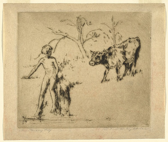 Artist: b'Darbyshire, Beatrice.' | Title: b'The Jersey calf.' | Date: c.1920 | Technique: b'drypoint, printed in warm black ink, from one copper plate' Artist: b'Darbyshire, Beatrice.' | Title: b'The Jersey calf.' | Date: c.1920 | Technique: b'drypoint, printed in warm black ink, from one copper plate'