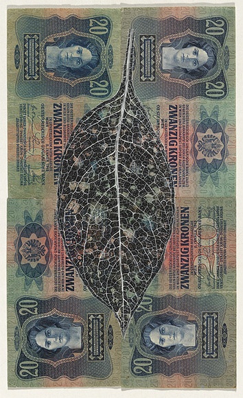 Artist: b'HALL, Fiona' | Title: b'Pulmonaria officinalis - Lungwort (Hungarian currency)' | Date: 2000 - 2002 | Technique: b'gouache' | Copyright: b'\xc2\xa9 Fiona Hall' Artist: b'HALL, Fiona' | Title: b'Pulmonaria officinalis - Lungwort (Hungarian currency)' | Date: 2000 - 2002 | Technique: b'gouache' | Copyright: b'\xc2\xa9 Fiona Hall'
