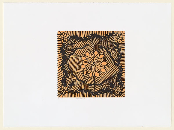 Artist: b'Thompson Nelson, Faith.' | Title: b'Life Patterns' | Date: c.2001 | Technique: b'linocut, printed in colour, from two blocks' Artist: b'Thompson Nelson, Faith.' | Title: b'Life Patterns' | Date: c.2001 | Technique: b'linocut, printed in colour, from two blocks'