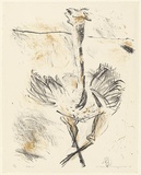 Artist: b'MACQUEEN, Mary' | Title: b'Dance' | Date: 1975 | Technique: b'lithograph, printed in colour, from two plates in black and brown ink' | Copyright: b'Courtesy Paulette Calhoun, for the estate of Mary Macqueen'