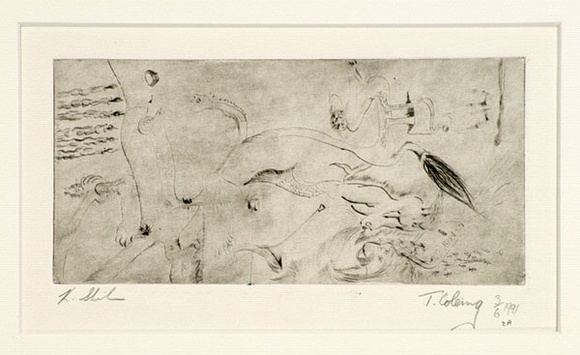 Artist: b'Sheehan, Kevin.' | Title: b'The Hospital Years.' | Date: 1991 | Technique: b'etching, printed in black ink, from one plate'