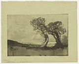 Artist: b'Long, Sydney.' | Title: b'A Cornish landscape' | Date: 1919 | Technique: b'aquatint and softground-etching, printed in black ink, from one copper plate' | Copyright: b'Reproduced with the kind permission of the Ophthalmic Research Institute of Australia'
