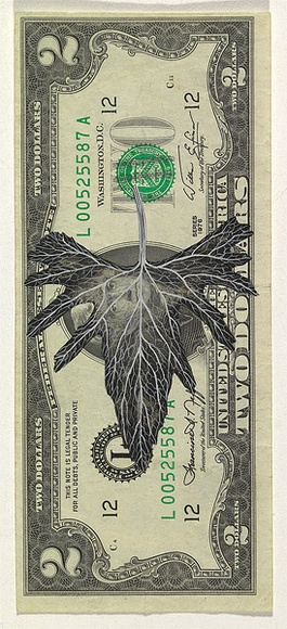Artist: b'HALL, Fiona' | Title: b'Viola delphinifolium (American currency)' | Date: 2000 - 2002 | Technique: b'gouache' | Copyright: b'\xc2\xa9 Fiona Hall' Artist: b'HALL, Fiona' | Title: b'Viola delphinifolium (American currency)' | Date: 2000 - 2002 | Technique: b'gouache' | Copyright: b'\xc2\xa9 Fiona Hall'
