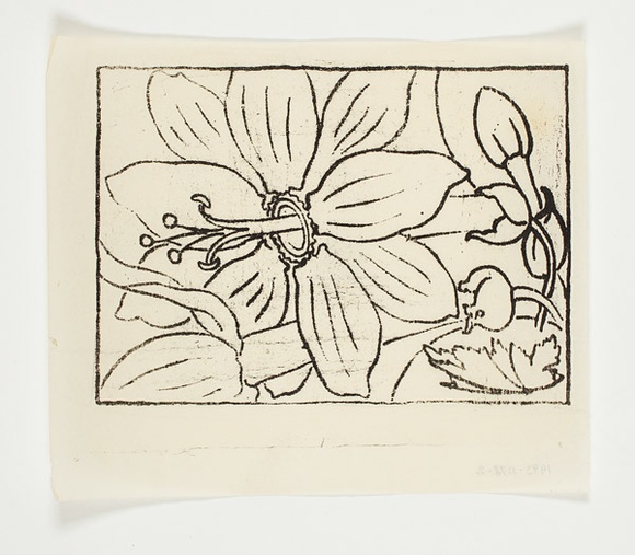 Artist: b'Sutherland, Jean.' | Title: b'not titled [big flower, no colour]'