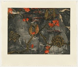 Title: Brachychiton  Nanungguwa | Date: 2010 | Technique: etching, printed in colour, from six plates