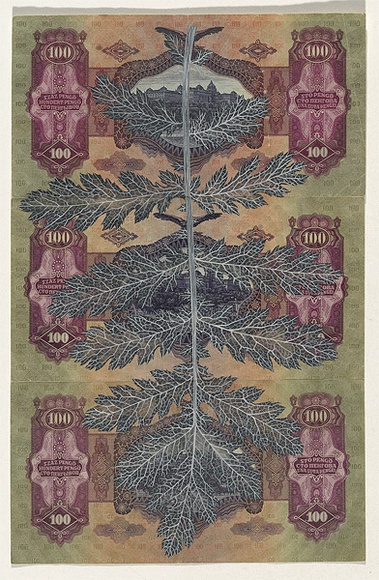 Artist: b'HALL, Fiona' | Title: b'Tanacetum macrophyllum (Hungarian currency)' | Date: 2000 - 2002 | Technique: b'gouache' | Copyright: b'\xc2\xa9 Fiona Hall' Artist: b'HALL, Fiona' | Title: b'Tanacetum macrophyllum (Hungarian currency)' | Date: 2000 - 2002 | Technique: b'gouache' | Copyright: b'\xc2\xa9 Fiona Hall'