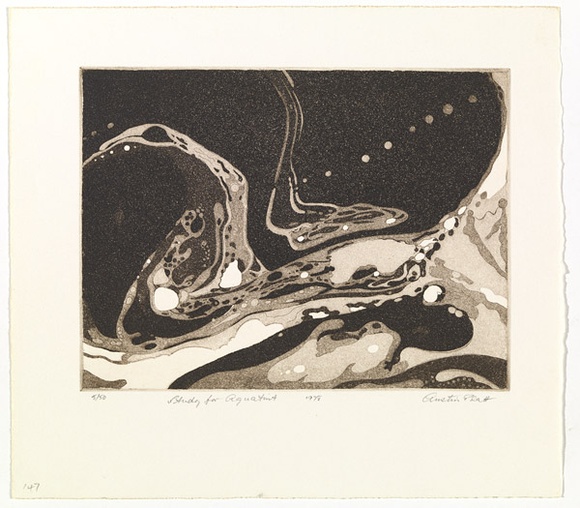 Artist: b'PLATT, Austin' | Title: b'Study for aquatint' | Date: 1978 | Technique: b'etching, printed in black ink, from one plate' Artist: b'PLATT, Austin' | Title: b'Study for aquatint' | Date: 1978 | Technique: b'etching, printed in black ink, from one plate'