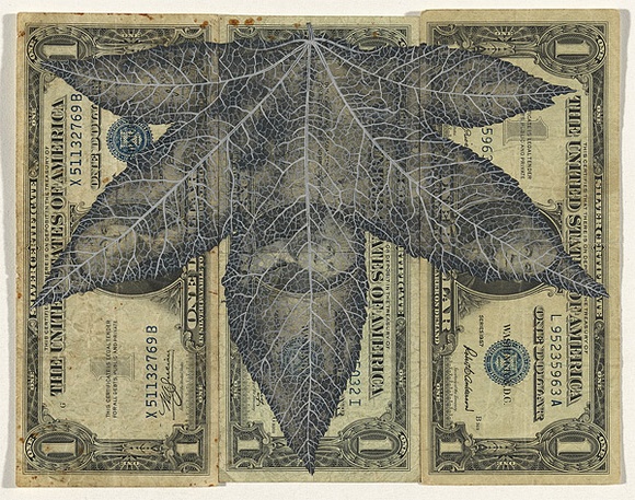 Artist: b'HALL, Fiona' | Title: b'Liquidambar styraciflua - Sweetgum (American currency)' | Date: 2000 - 2002 | Technique: b'gouache' | Copyright: b'\xc2\xa9 Fiona Hall' Artist: b'HALL, Fiona' | Title: b'Liquidambar styraciflua - Sweetgum (American currency)' | Date: 2000 - 2002 | Technique: b'gouache' | Copyright: b'\xc2\xa9 Fiona Hall'