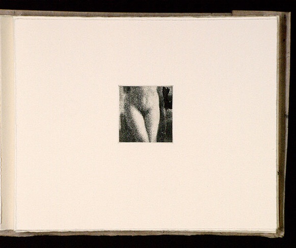 Artist: b'Mann, Gillian.' | Title: b'(Lower torso of female).' | Date: 1981 | Technique: b'etching, printed in black ink, from one plate' Artist: b'Mann, Gillian.' | Title: b'(Lower torso of female).' | Date: 1981 | Technique: b'etching, printed in black ink, from one plate'