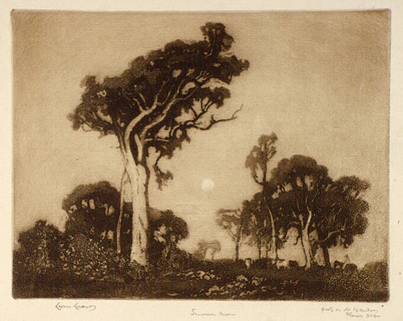 Artist: b'LINDSAY, Lionel' | Title: b'Summer moon, Wahroonga, Sydney' | Date: 1925 | Technique: b'aquatint, printed in brown ink, from one plate' | Copyright: b'Courtesy of the National Library of Australia' Artist: b'LINDSAY, Lionel' | Title: b'Summer moon, Wahroonga, Sydney' | Date: 1925 | Technique: b'aquatint, printed in brown ink, from one plate' | Copyright: b'Courtesy of the National Library of Australia'
