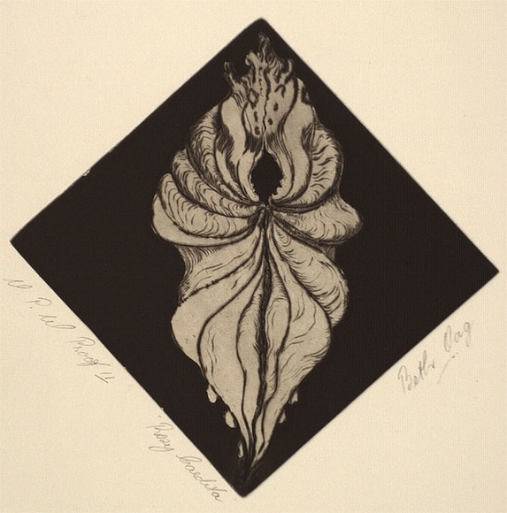 Artist: b'OAG, Beth' | Title: b'Rosy Cardita' | Date: 1989 - 2002 | Technique: b'etching, printed in black ink with plate-tone, from one plate' Artist: b'OAG, Beth' | Title: b'Rosy Cardita' | Date: 1989 - 2002 | Technique: b'etching, printed in black ink with plate-tone, from one plate'