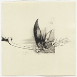 Artist: SCHMEISSER, Jorg | Title: 2. Drypoint | Date: 1984 | Technique: drypoint, printed in black ink, from one plate | Copyright: © Jörg Schmeisser