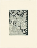 Artist: HANRAHAN, Barbara | Title: The island | Date: 1990 | Technique: etching, printed in green ink with plate-tone, from one plate
