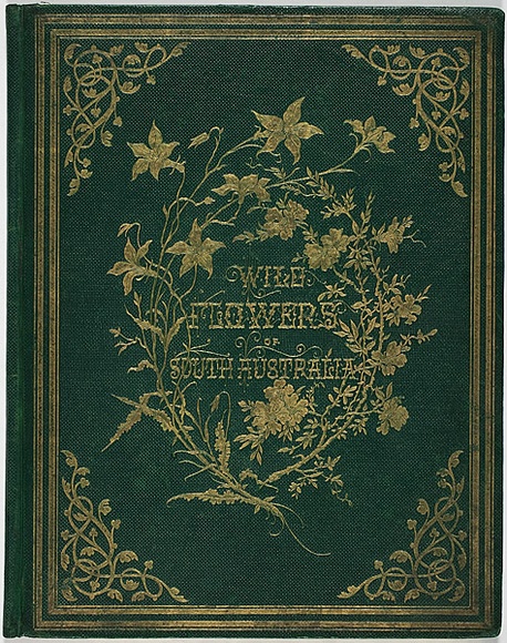 Artist: b'De Mole, Fanny.' | Title: b'Wild flowers of South Australia' | Date: 1861 | Technique: b'lithographs, printed in black ink, each from one stone; hand-coloured' Artist: b'De Mole, Fanny.' | Title: b'Wild flowers of South Australia' | Date: 1861 | Technique: b'lithographs, printed in black ink, each from one stone; hand-coloured'