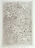 Artist: JOSHUA, Alan | Title: Buckarra - longneck turtle | Date: 2000, November | Technique: etching, printed in black ink, from one plate