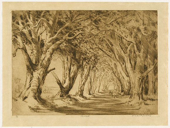 Artist: b'van RAALTE, Henri' | Title: b'The vista' | Date: c.1919 | Technique: b'drypoint, printed in brown ink, from one plate' Artist: b'van RAALTE, Henri' | Title: b'The vista' | Date: c.1919 | Technique: b'drypoint, printed in brown ink, from one plate'