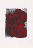 Artist: Headlam, Kristin. | Title: Luscious | Date: 1999 | Technique: lithograph, printed in colour ink, from two stones