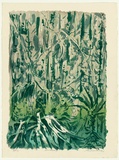 Artist: b'King, Grahame.' | Title: b'Rain forest II' | Date: 1979 | Technique: b'lithograph, printed in colour, from four stones [or plates]'