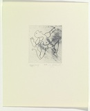 Artist: SELLBACH, Udo | Title: not titled | Date: 1960-80 | Technique: etching