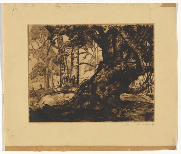 Artist: b'Nimmo, Lorna.' | Title: b'(Old tree with landscape)' | Date: 1940 | Technique: b'etching, drypoint printed in brown ink, from one copper plate,' Artist: b'Nimmo, Lorna.' | Title: b'(Old tree with landscape)' | Date: 1940 | Technique: b'etching, drypoint printed in brown ink, from one copper plate,'