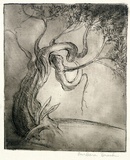 Artist: b'Brash, Barbara.' | Title: b'(Tree).' | Date: 1950s | Technique: b'etching, printed in brown ink with plate-tone, from one plate'