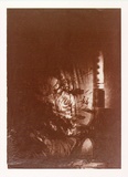 Artist: TO, Hiram | Title: (Flower design) | Technique: photocopy