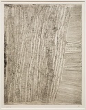 Artist: Kantilla, Kitty. (Kutuwalumi Purawarrumpatu). | Title: Untitled | Date: 1999, May - June | Technique: hardground-etching, printed in black ink from one plate | Copyright: © Kitty Kantilla and Jilamara Arts + Craft