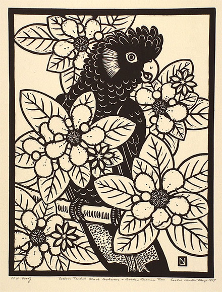 Artist: b'van der Sluys, Leslie.' | Title: b'Yellow Tailed Black Cockatoo and Golden Guinea Tree' | Date: 1987 | Technique: b'linocut, printed in black ink, from one block' Artist: b'van der Sluys, Leslie.' | Title: b'Yellow Tailed Black Cockatoo and Golden Guinea Tree' | Date: 1987 | Technique: b'linocut, printed in black ink, from one block'