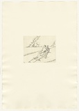 Artist: Lewitt, Vivienne. | Title: not titled | Date: 1988 | Technique: softground etching, printed in black ink, from one plate