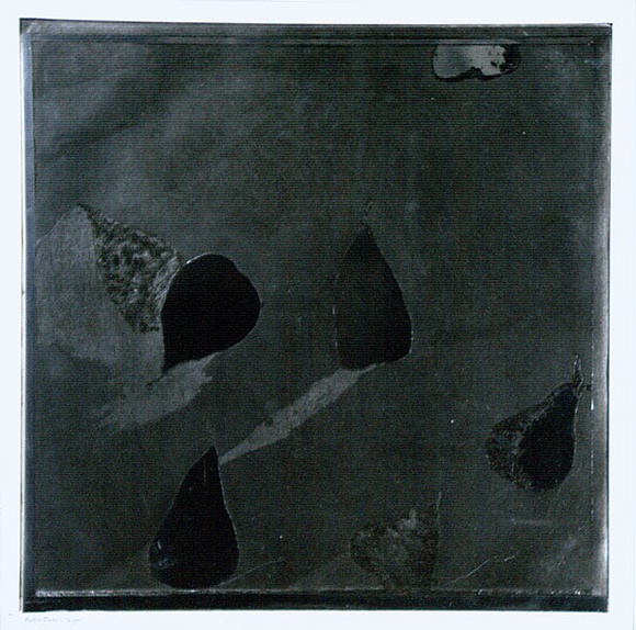 Artist: b'BALDESSIN, George' | Title: b'Pears (silver version).' | Date: 1970 | Technique: b'etching and aquatint, printed in black ink, from one plate' Artist: b'BALDESSIN, George' | Title: b'Pears (silver version).' | Date: 1970 | Technique: b'etching and aquatint, printed in black ink, from one plate'