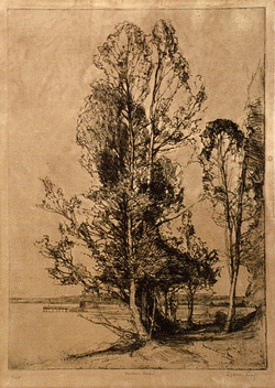 Artist: Long, Sydney. | Title: Brisbane water | Date: 1925 | Technique: line-etching, printed in brown ink, from one copper plate | Copyright: Reproduced with the kind permission of the Ophthalmic Research Institute of Australia