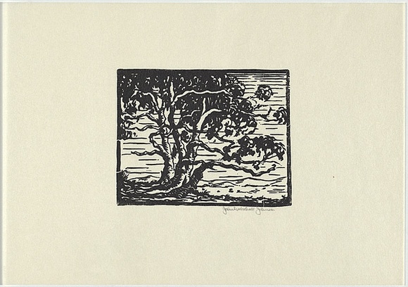 Artist: b'Johnson, John Godschall.' | Title: b'not titled' | Date: c.1930 | Technique: b'woodcut, printed in black ink, from one block' Artist: b'Johnson, John Godschall.' | Title: b'not titled' | Date: c.1930 | Technique: b'woodcut, printed in black ink, from one block'