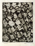 Artist: WICKS, Arthur | Title: Changes/Mixings | Date: 1972 | Technique: etching