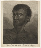 Title: bEin mann aus Van Diemen's Land | Date: c.1784 | Technique: b'etching and engraving, printed in black ink, from one plate'