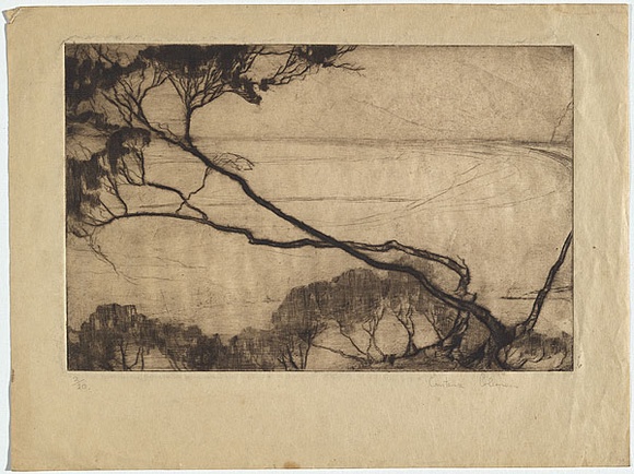 Artist: b'Coleman, Constance.' | Title: b'(Tree and bay).' | Date: (1938) | Technique: b'drypoint, printed in brown ink with plate-tone, from one plate' Artist: b'Coleman, Constance.' | Title: b'(Tree and bay).' | Date: (1938) | Technique: b'drypoint, printed in brown ink with plate-tone, from one plate'